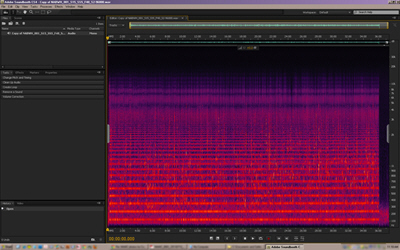Many of the NABWH recordings were of poor quality, and noise reduction editing to copies of the digital recordings was necessary before sending them to the transcriber. This screenshot shows the horizontal bands of a particularly severe 60Hz hum with harmonics up the frequency scale, from a recording of a March 30, 1978 focus group organized by the NCNW. NPS Image.