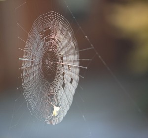 //www.flickr.com/photos/curtsm/283309601/in/photolist-r335i-7c14Ac-gmj2p1-4WYuxd-zrxN6-6xrBBw-9Z3VMZ-6LfvDf-fExajJ-74pw1x-fD2NqV-ALAQt-aHhna6-tBBiL-mYCVp-51ycz-6XYf54-5h9CgZ-6CWDaz-8ognYs-5n2ia9-arVHjK-9SzHk8-P94X1-5rt3fu-4KqJoz-2Uztyr-sE6zx-b4tLMZ-6SWdNY-5htq9a-8k2fsi-5tj1DG-6VvxsG-2yosBV-5o2mdQ-7bndWm-3wExbA-2PMwSA-77Rw2b-6PUKJ9-bHF2p8-6U2cfE-by4QTf-2EA6KM-jG4wh-7akPi-6MbiRf-2MvjR3-4VgnTS-4Vc9mt/">Flickr</a>” width=”300″ height=”281″/></a><p class=